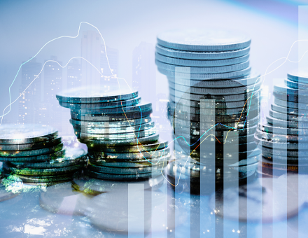 Menedżer ds. Finansów / Finance Manager